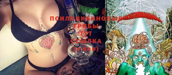 ALPHA PVP Новодвинск
