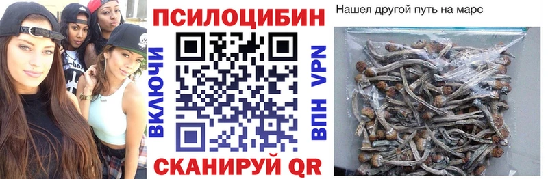 Псилоцибиновые грибы прущие грибы  купить наркоту  Калач 
